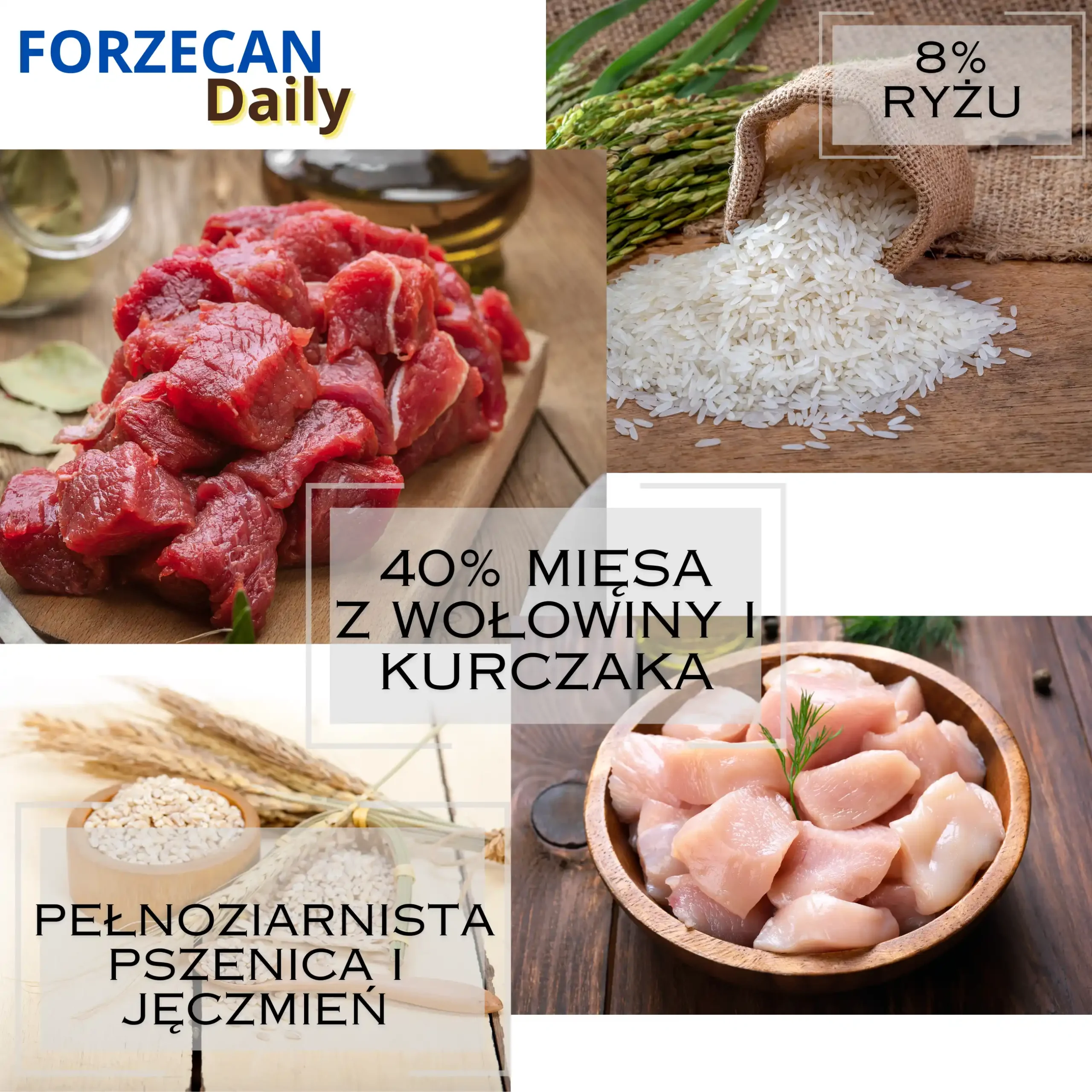 Karma Dla Psa Sucha 40% Mięsa Bez GMO FORZECAN DAILY - 20kg - obrazek 5