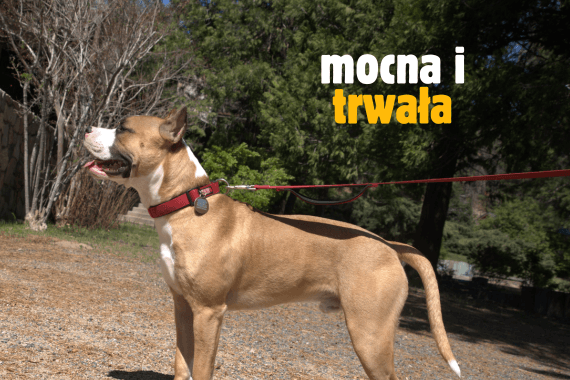 Smycze antypoślizgowe SIMBAO są mocne i trwałe