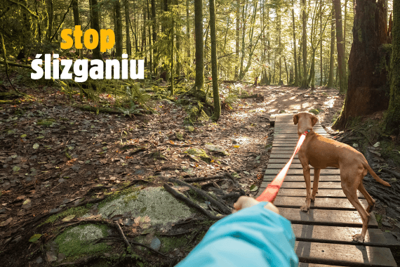 Smycze antypoślizgowe SIMBAO nie ślizgają się