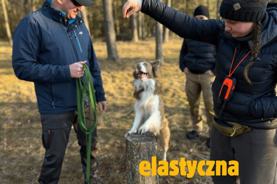 Smycze elastyczne