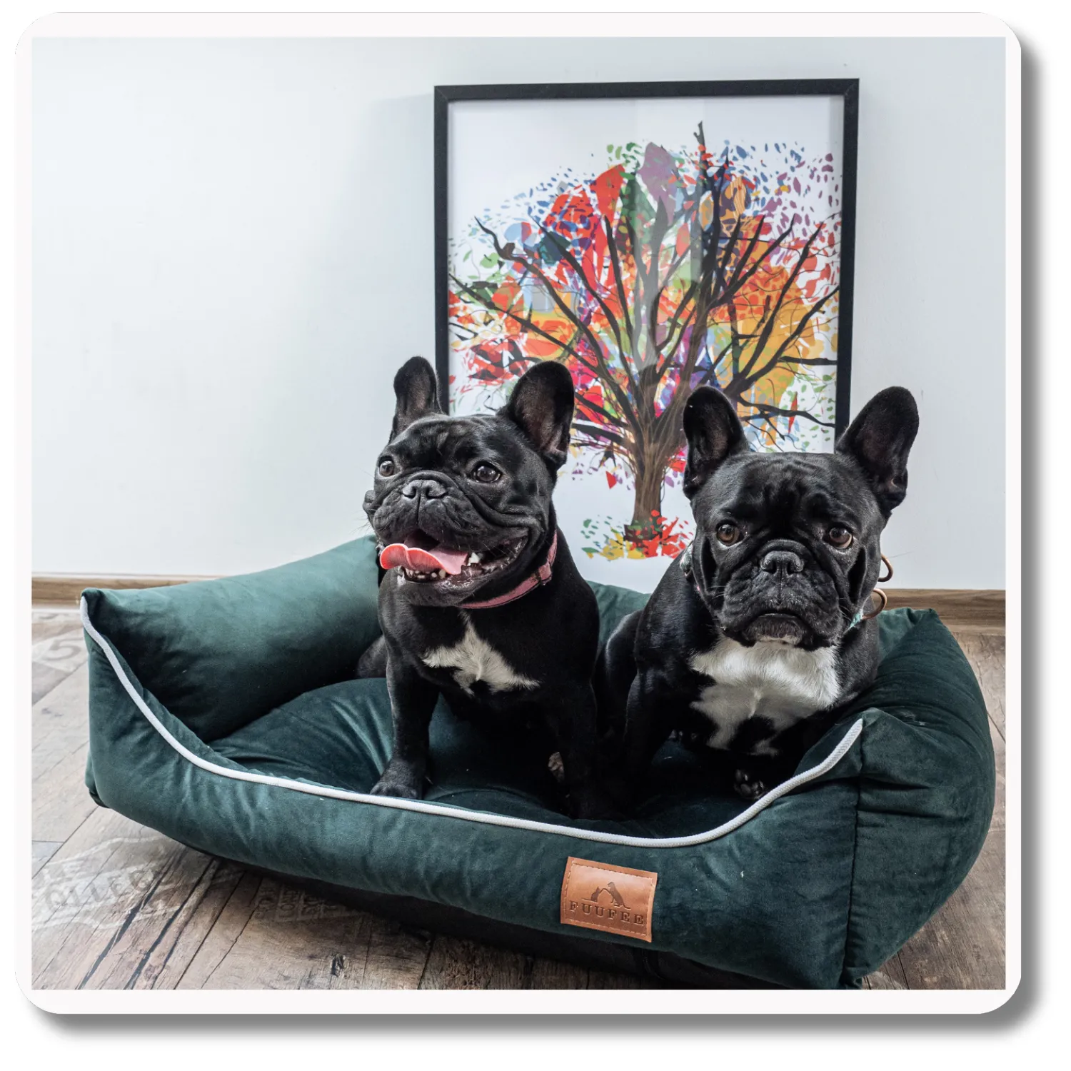 Legowisko dla psa <br>SOFA DEEP GREEN - obrazek 7