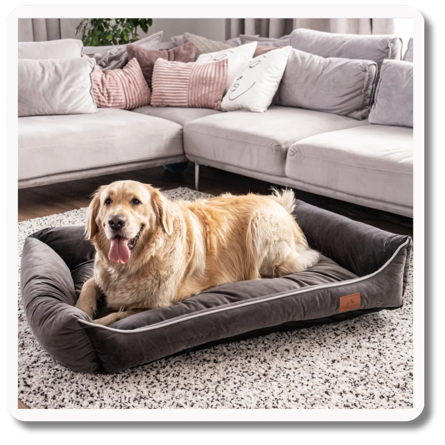 Legowisko dla psa <br>SOFA GRAPHITE - obrazek 7