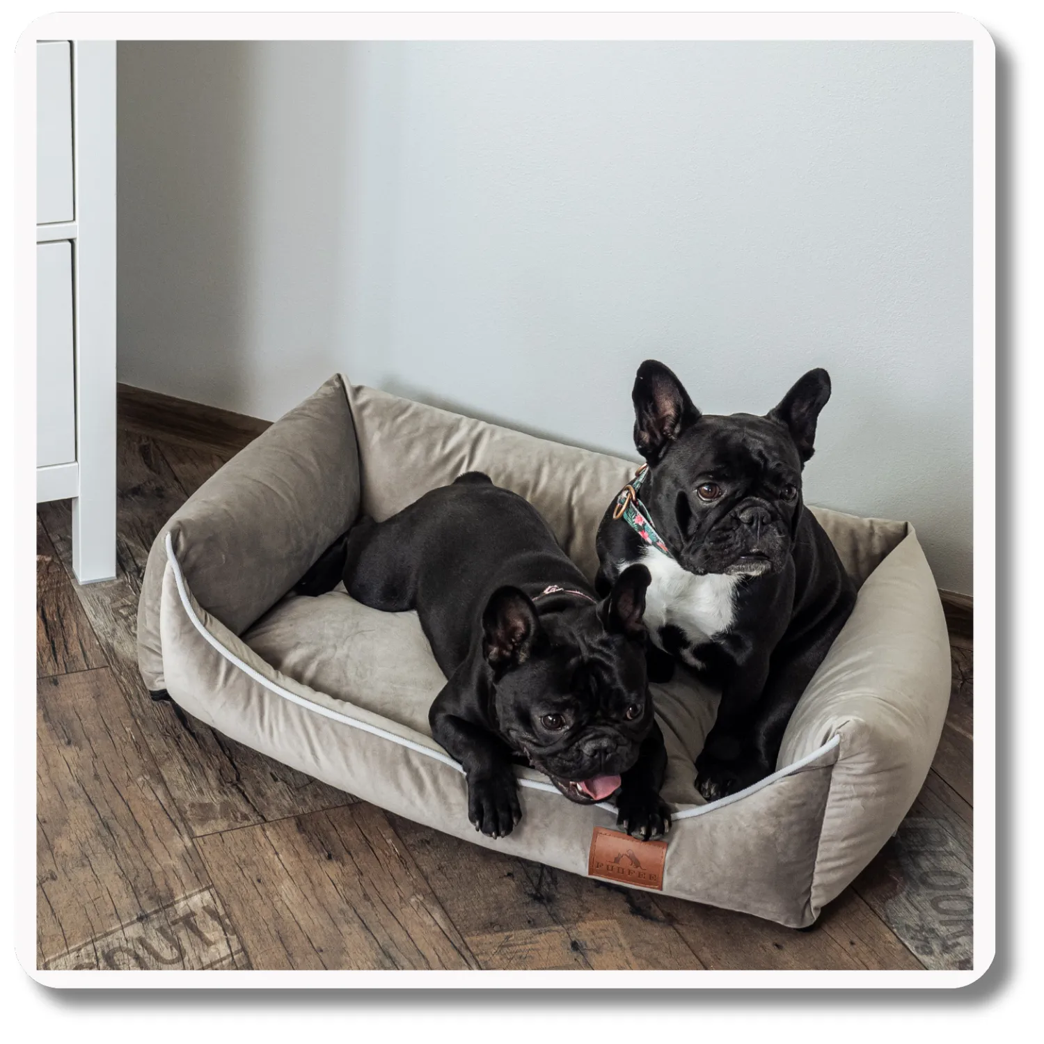 Legowisko dla psa <br>SOFA HAZELNUT - obrazek 5
