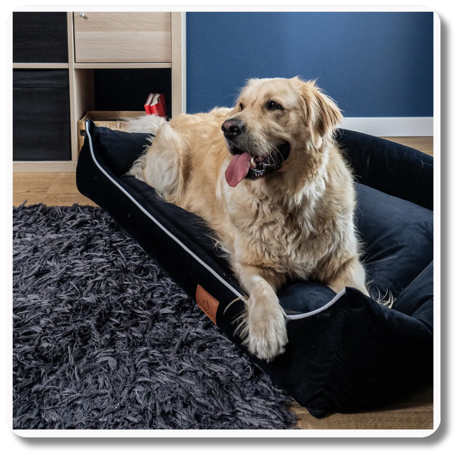 Legowisko dla psa <br>SOFA OCEAN BLUE - obrazek 4