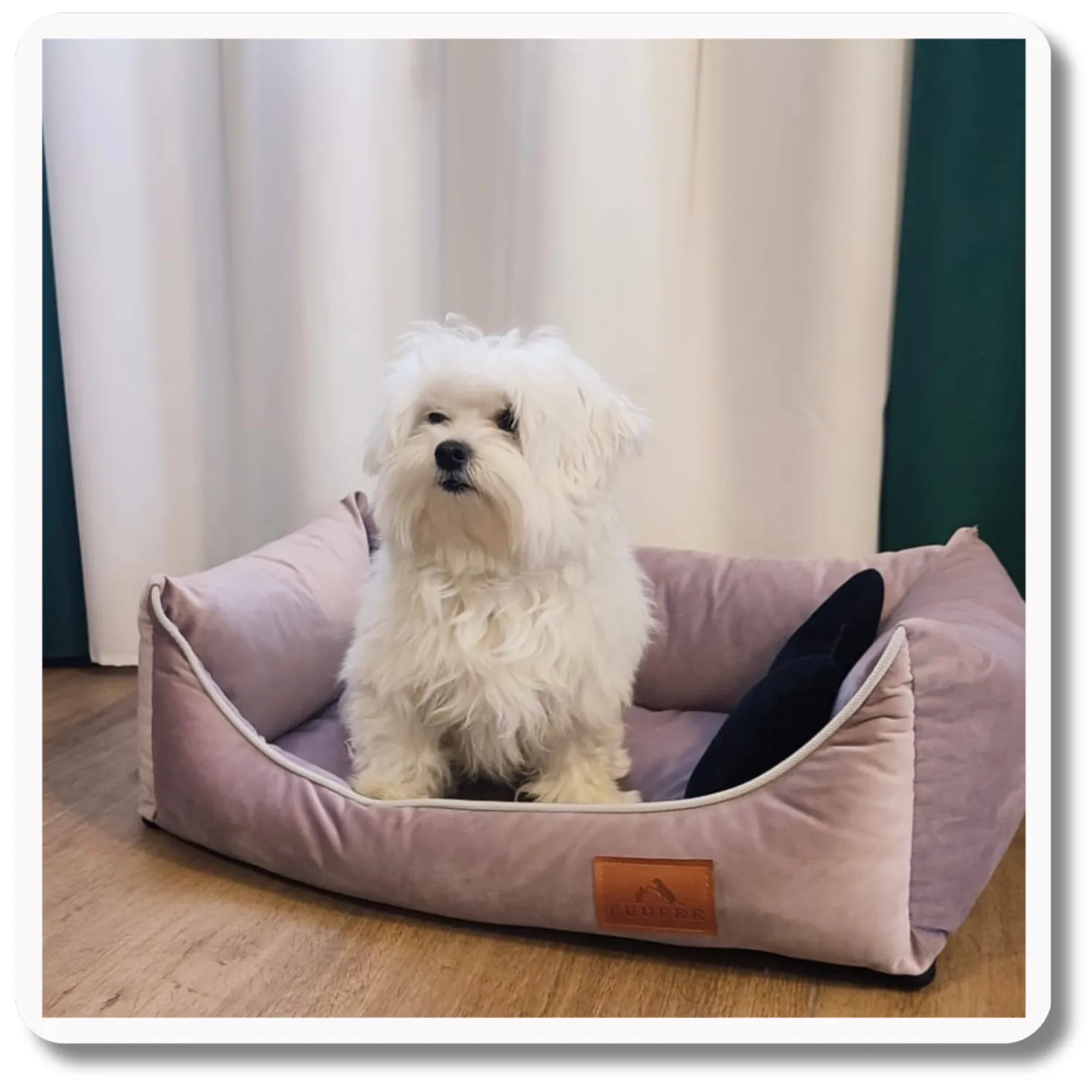 Legowisko dla psa <br>SOFA PASTEL PURPLE - obrazek 3