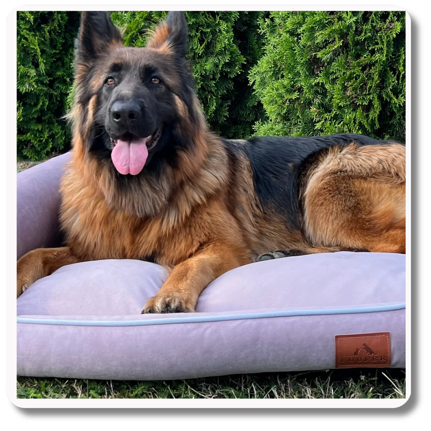 Legowisko dla psa <br>SOFA PASTEL PURPLE - obrazek 8
