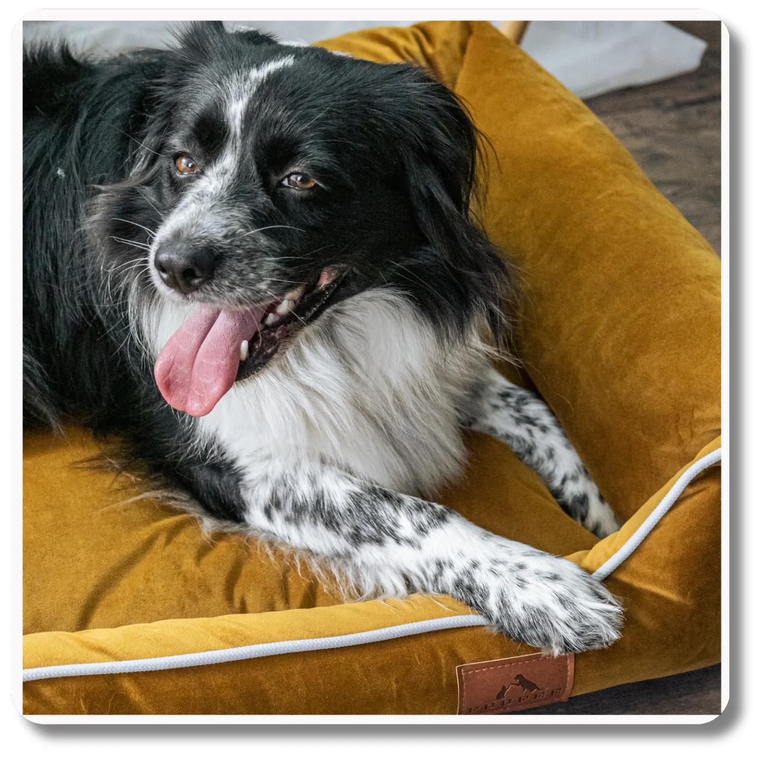 Legowisko dla psa <br>SOFA SPICY - obrazek 6