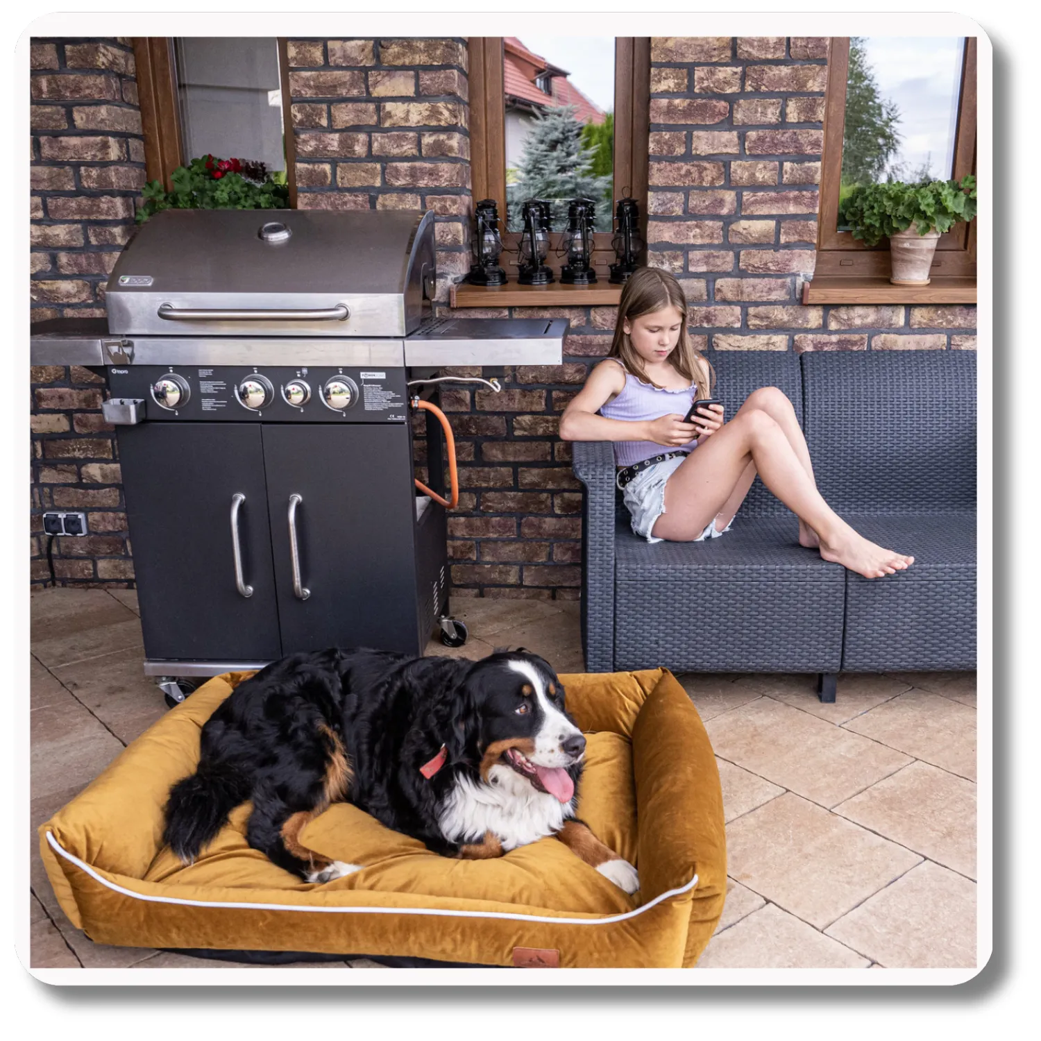 Legowisko dla psa <br>SOFA SPICY - obrazek 7