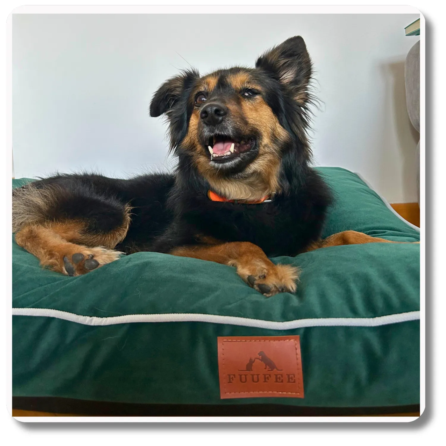 Legowisko dla psa <br>MATERAC DEEP GREEN - obrazek 2
