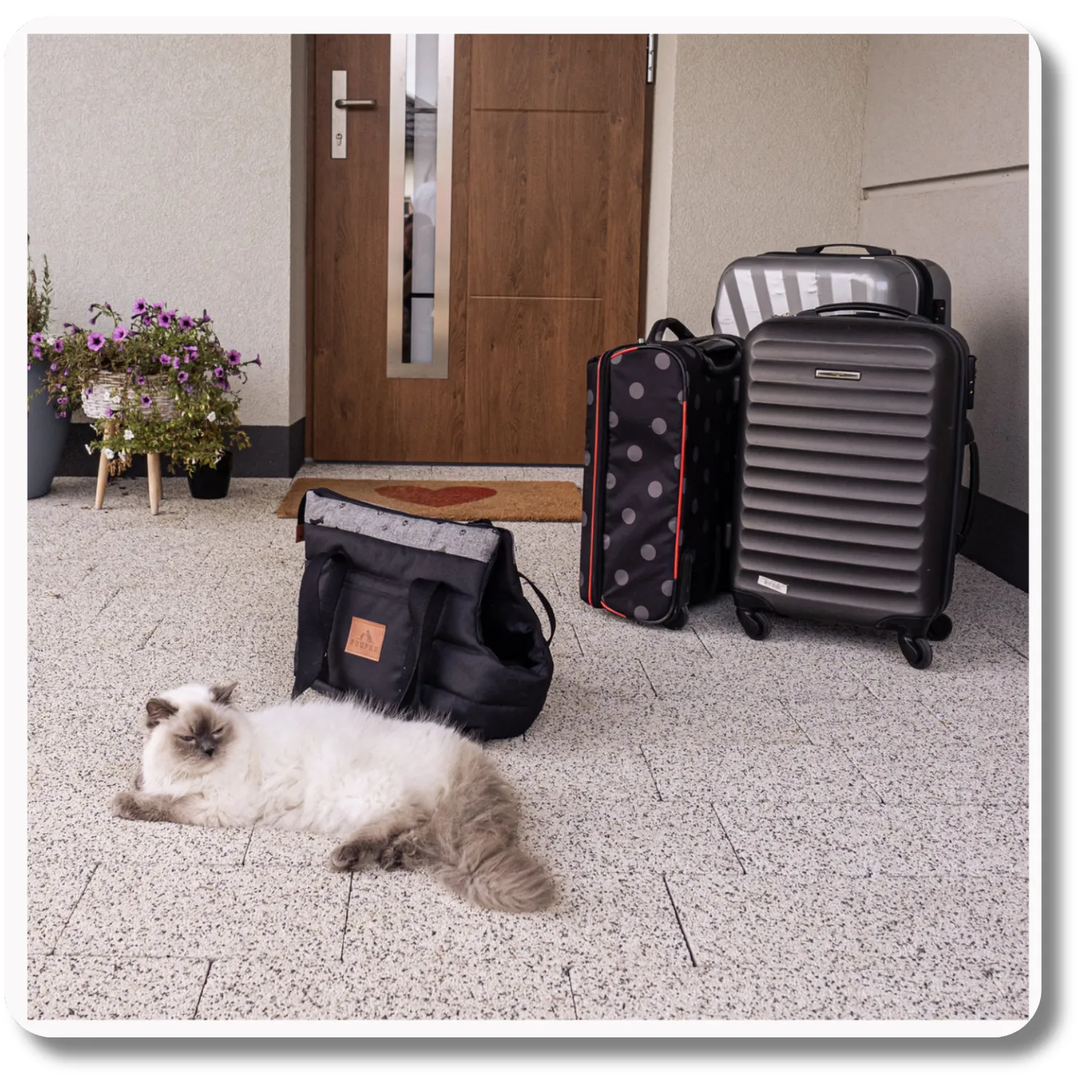 TORBA TRANSPORTER DLA PSA SPASSO SIMPLE - obrazek 2