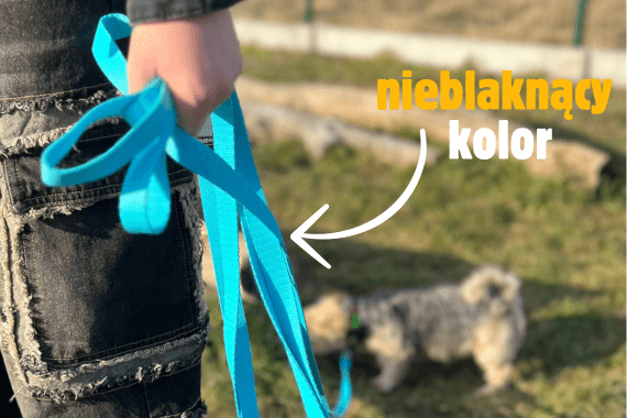 zalety smyczy klasycznych simbao