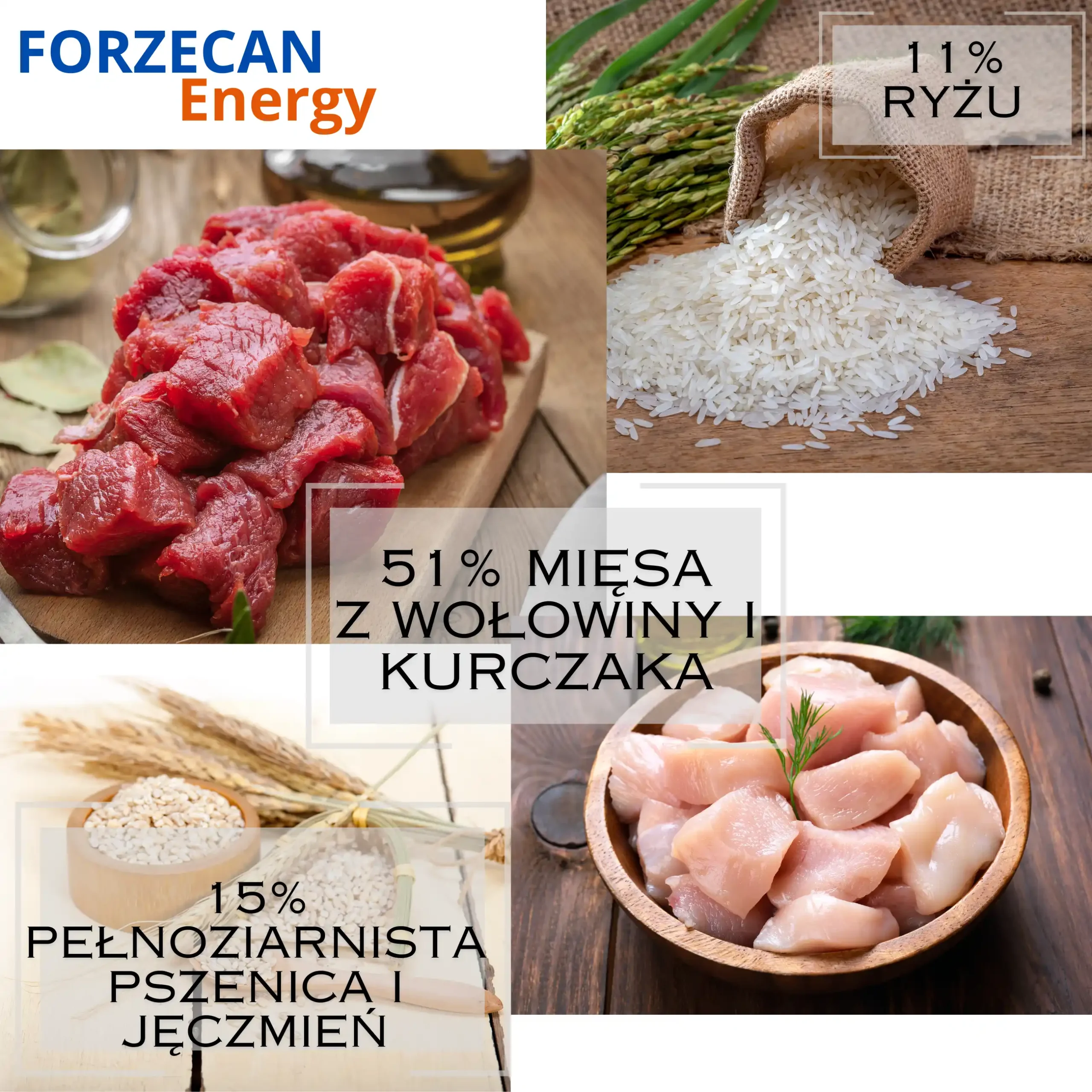 Karma Sucha Dla Psa 51% Mięsa Bez GMO FORZECAN ENERGY- 20kg - obrazek 2