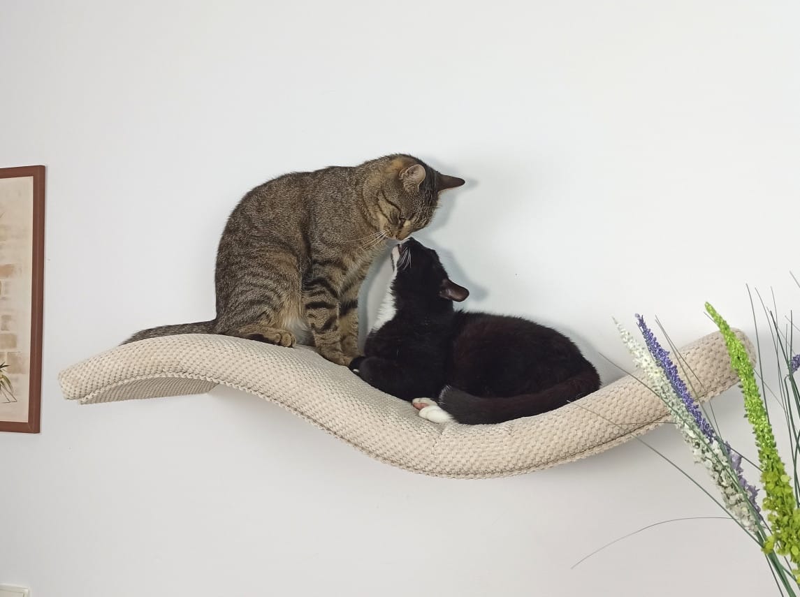 Półka ścienna dla kota, wisząca FALA SP 95 cm SH-M-W95SR - obrazek 7