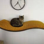 Półka ścienna dla kota, wisząca FALA 95 cm NL SH-W-W95L